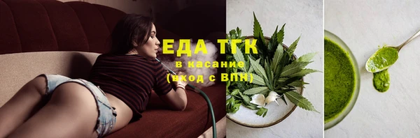 хмурый Белокуриха
