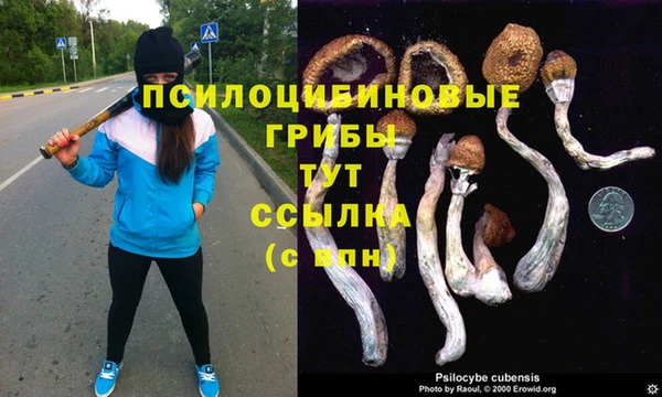 Альфа ПВП Белоозёрский