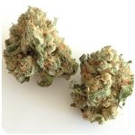 Шишки "White Widow"  (Белая вдова)  Гидропоника -  Бошка VHQ в Бикине